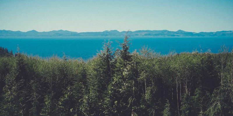 2024年网络技术趋势解析：后端开发演进与关键编程资源盘点