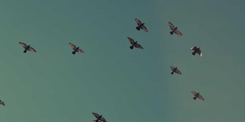 5G核心网架构深度解析：云原生与网络切片如何重塑移动通信，为后端开发带来的编程资源与技术分享