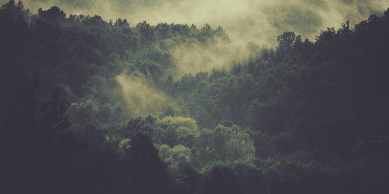 低延迟网络技术全景：从金融交易系统到云游戏的优化实践与编程资源