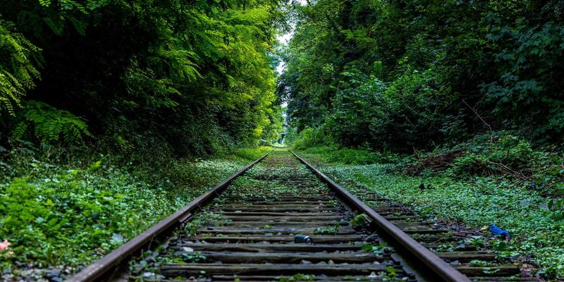 当开源项目如涂鸦艺术般自由：网络切片如何重塑5G专网的行业定制化未来