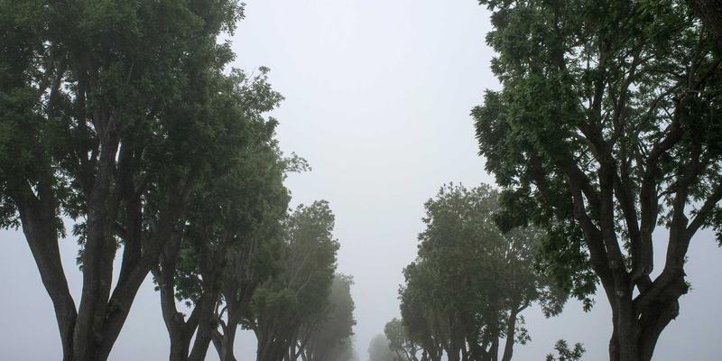 当网络技术遇见涂鸦艺术：基于开源项目的AI流量分析与智能运维革命