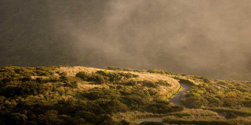 技术分享：软件定义网络(SDN)如何重塑数据中心架构——开源实践与后端开发视角