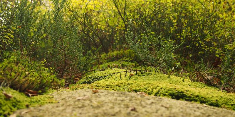 网络功能虚拟化(NFV)在电信云中的实践与挑战：一次深度的技术分享