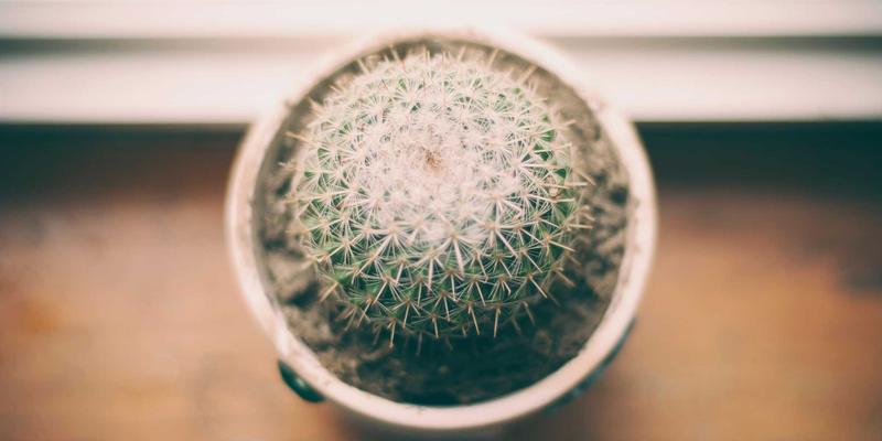 网络技术52：开源项目如何重塑技术分享与行业创新