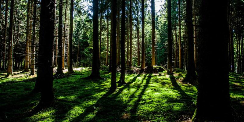 网络技术83：全栈开发深度解析与前沿实践分享