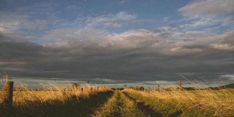 网络技术86：当涂鸦艺术遇见编程资源的跨界技术分享