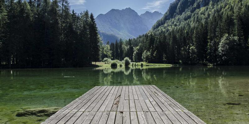 网络技术优势深度解析:从前端开发到开源项目的创新生态