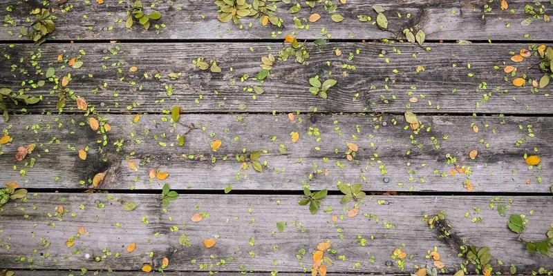 网络技术新纪元：边缘计算如何挑战并重塑传统网络架构