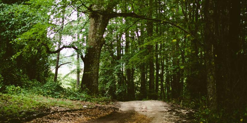 网络技术进阶指南：如何通过开源项目与编程资源实现能力跃迁