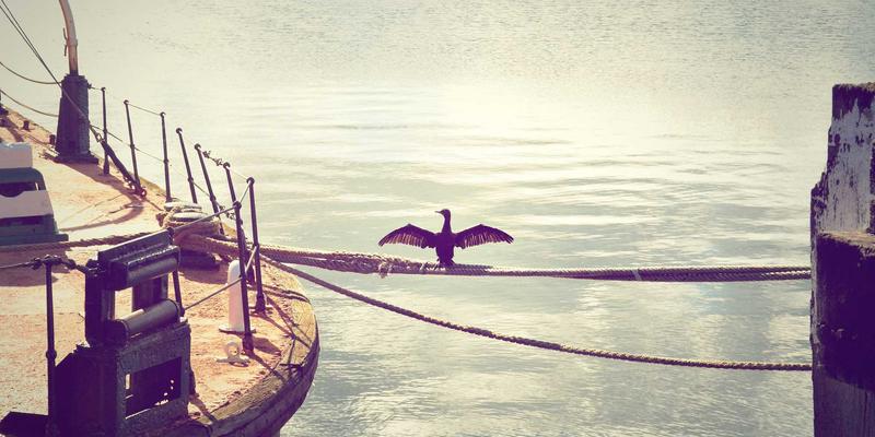 蜂窝物联网(NB-IoT/LTE-M)大规模部署：前后端开发的资源整合与技术实践